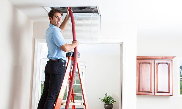 Home Air Vent Cleaning in Davis Junction, IL